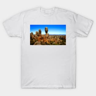 Cute Pictures Of Rocky Area T-Shirt